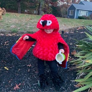 Red Parrot Costume, 18-24 months